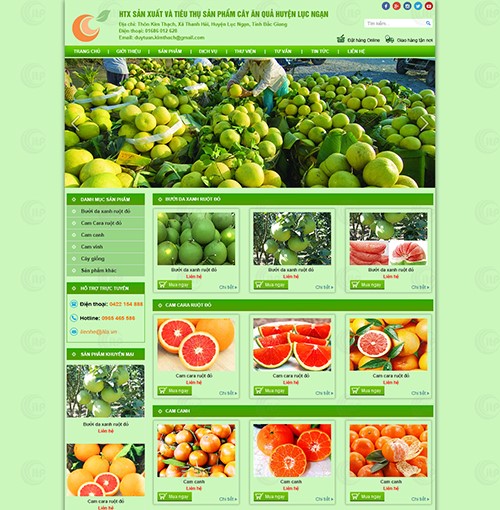 Hình ảnh của Công Ty Làm Web thực phẩm