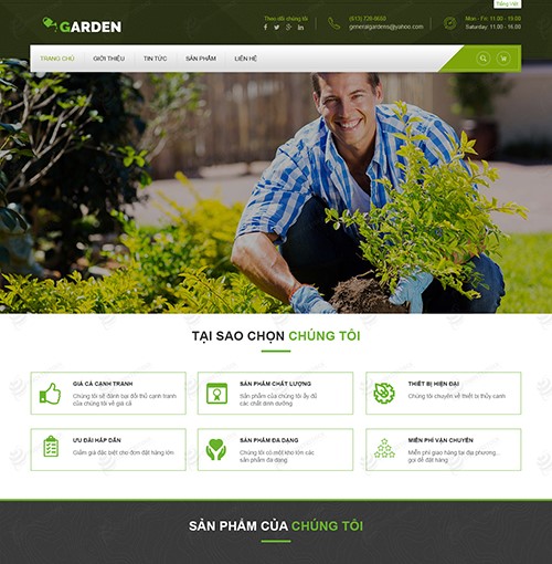 Hình ảnh của Thiết Kế Website thiết bị garden